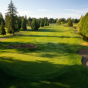 Drone Hole 2 from green